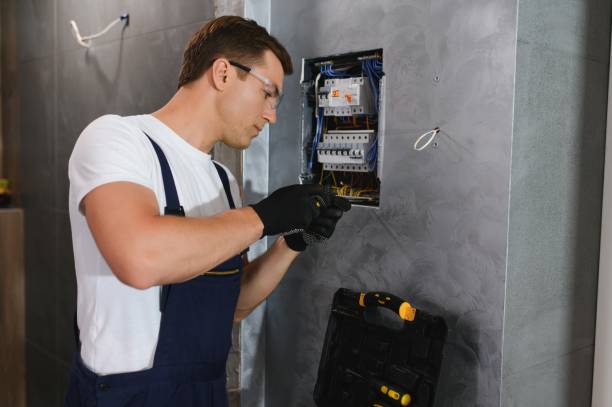 Best Licensed Electrician  in Janesville, MN